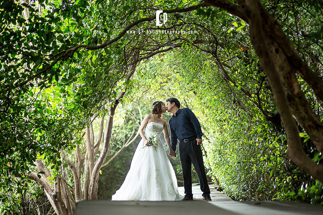 mangrove-forest-gpbaliphotography-2