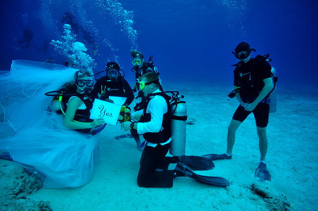 underwater-wedding-theanimals
