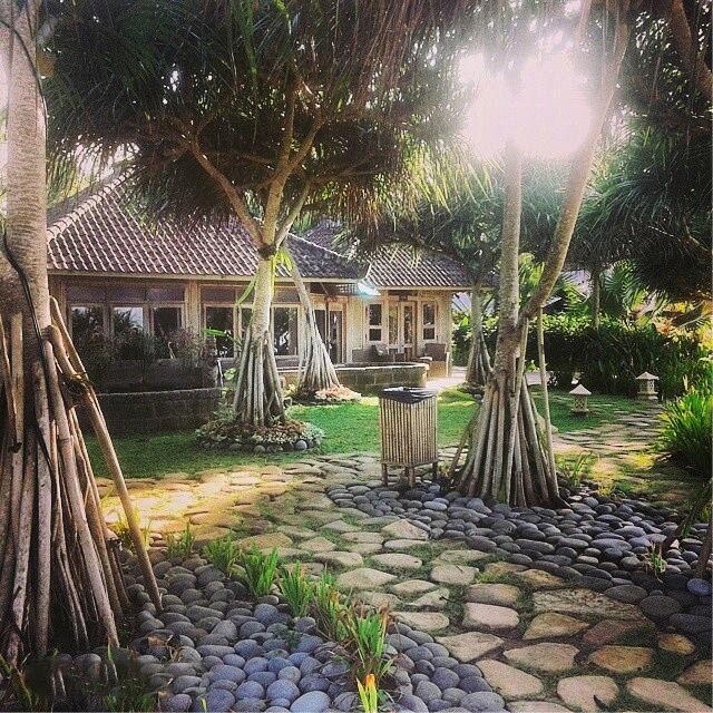 Bali pondok pitaya cr pondokpitaya.com