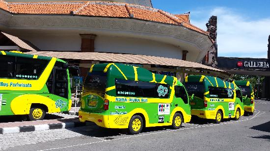 kurakurabus2