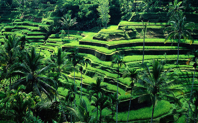 Ascension-bali_agung_tours