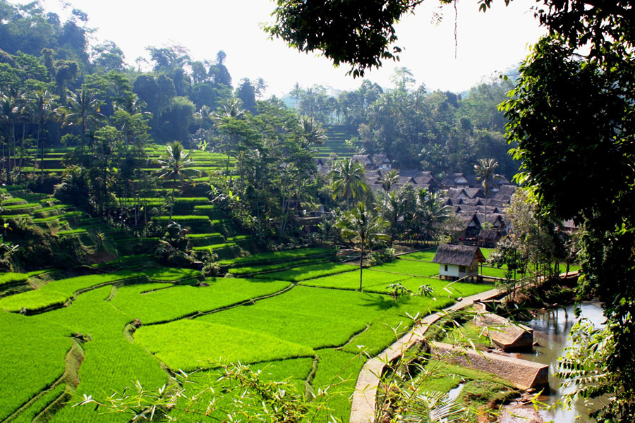 18 KampungNaga_Fields_dany13_flickr