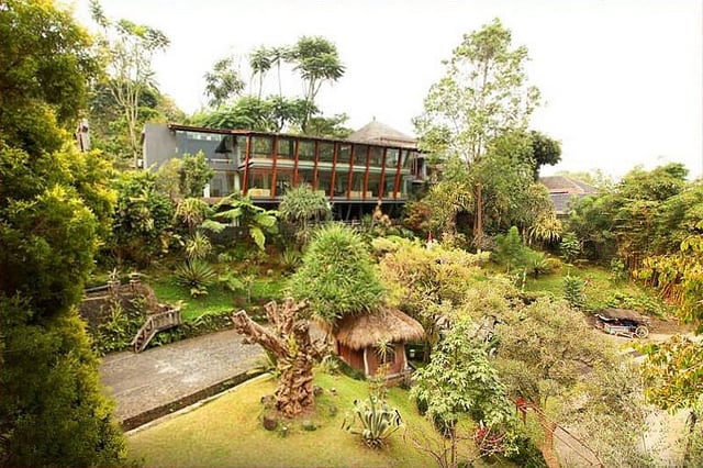 4 congo forest