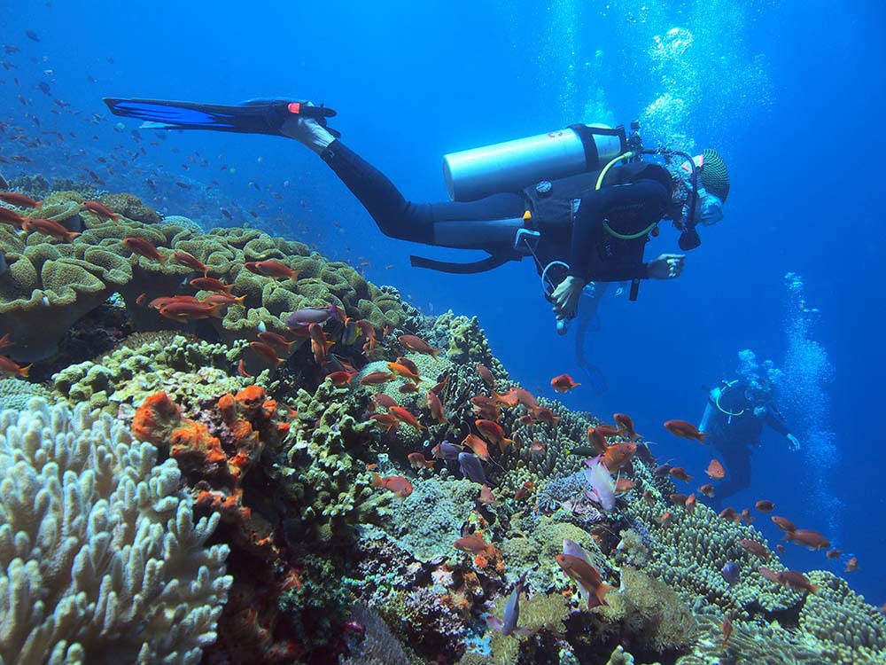 18-diving1-viaprojectaware.org