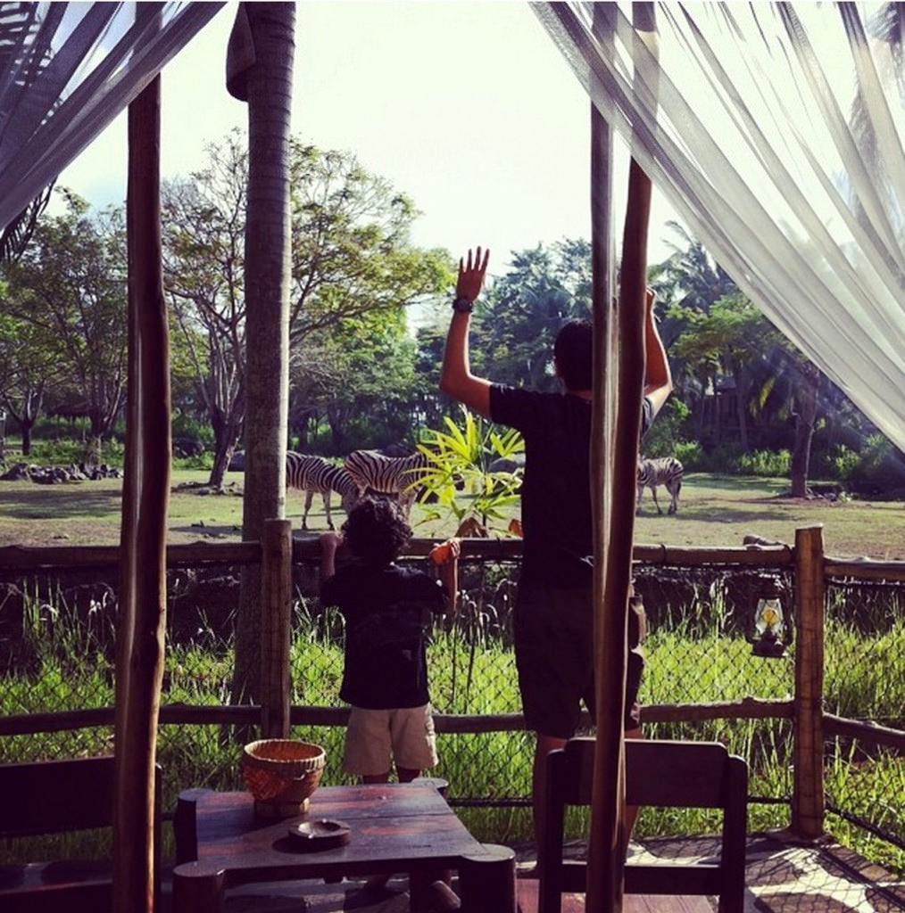 view-from-balcony-via-Amesh-Budiristio