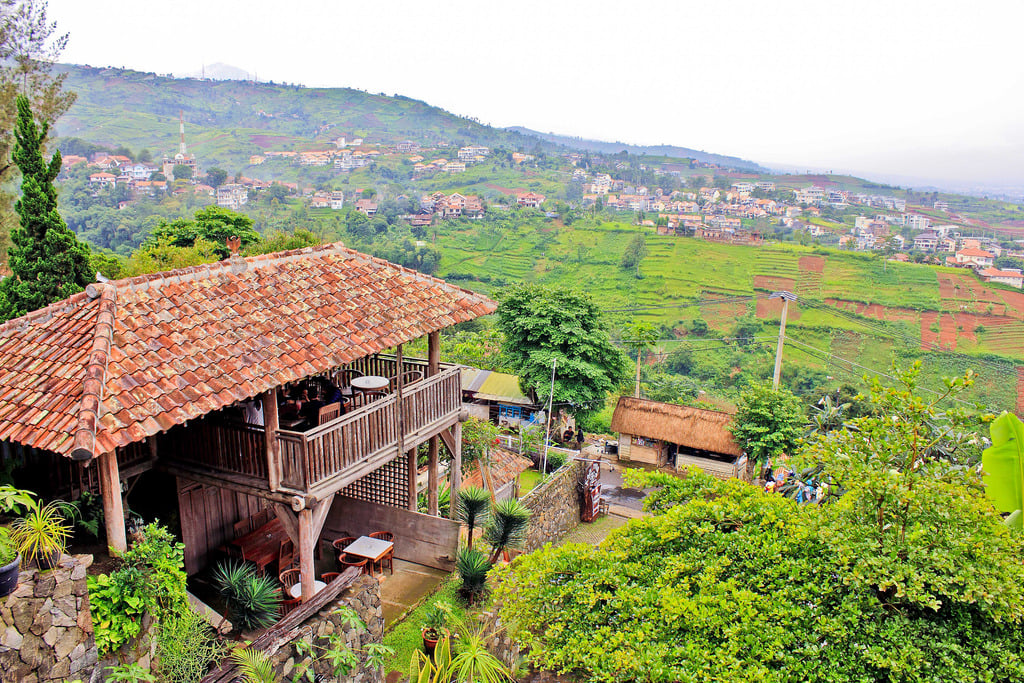 Kopi-Ireng-by-SonOfMountMalang-1