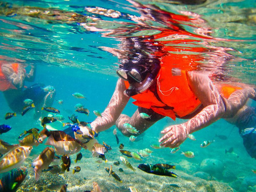 22-snorkelling-viatrekkingrinjani.wordpress