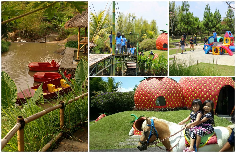 rumah stroberi via yesidwif, wisatadigarut collage