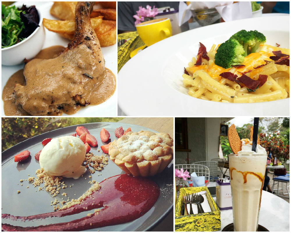 2-miss-bee-food-via-Shasya,-Silvia