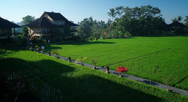 2. Sri Bungalows fields