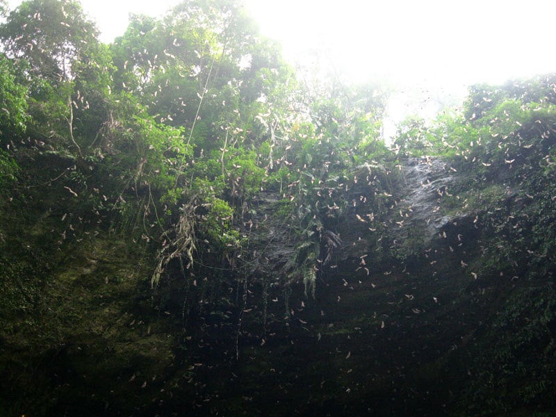 8-curug-lalai-bat-cave