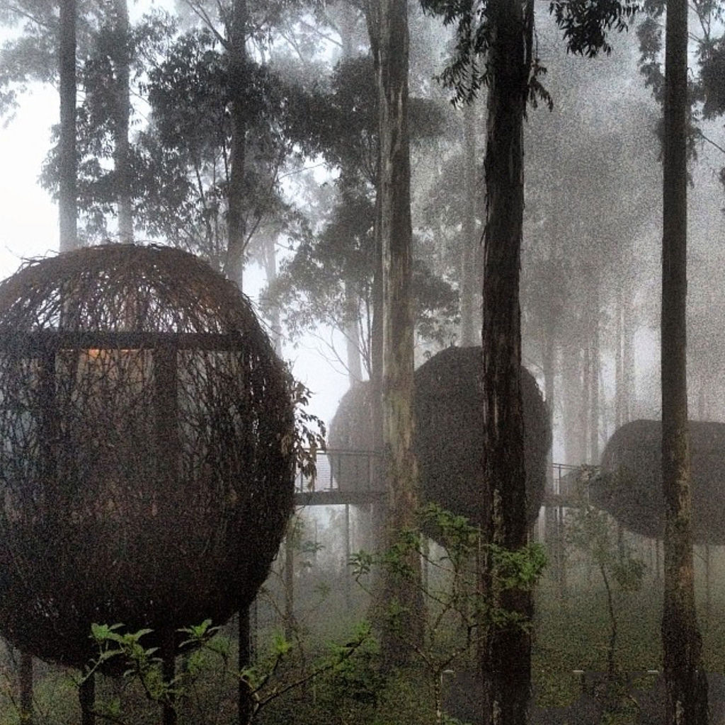 6-dusun-bambu-bird-nest-via-saicis