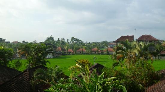 7. Warji House view from room