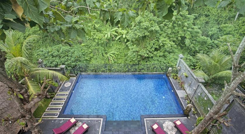 6. pool day
