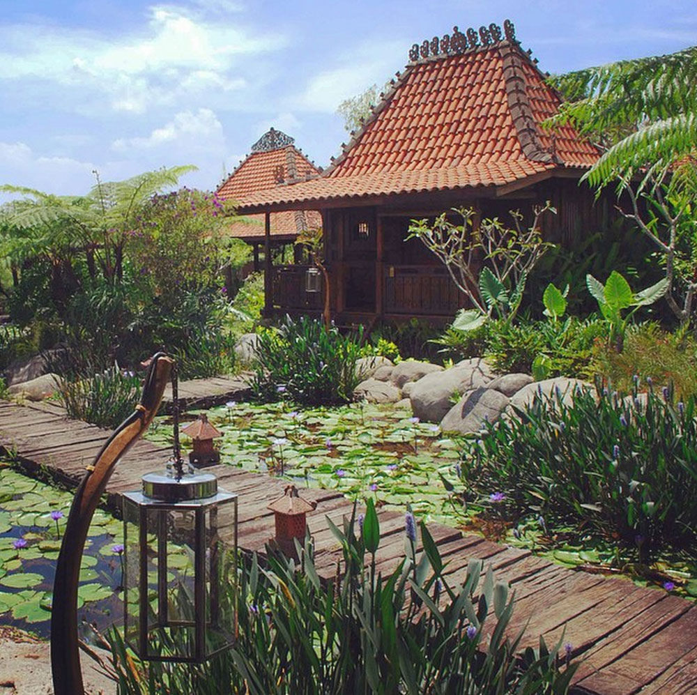 9-pond-2-via-Roy-Wicaksono