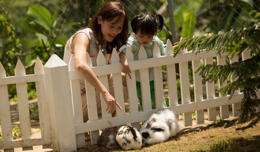 novus-rabbit---novushotels.com