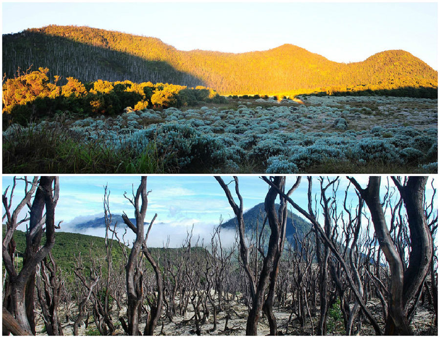 papandayan