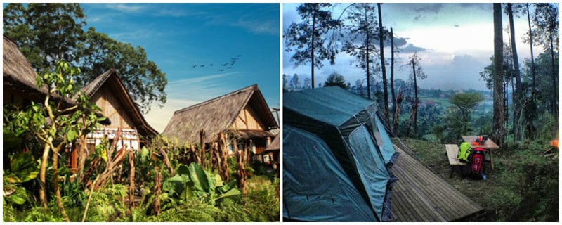 2-eagle-camp-collage