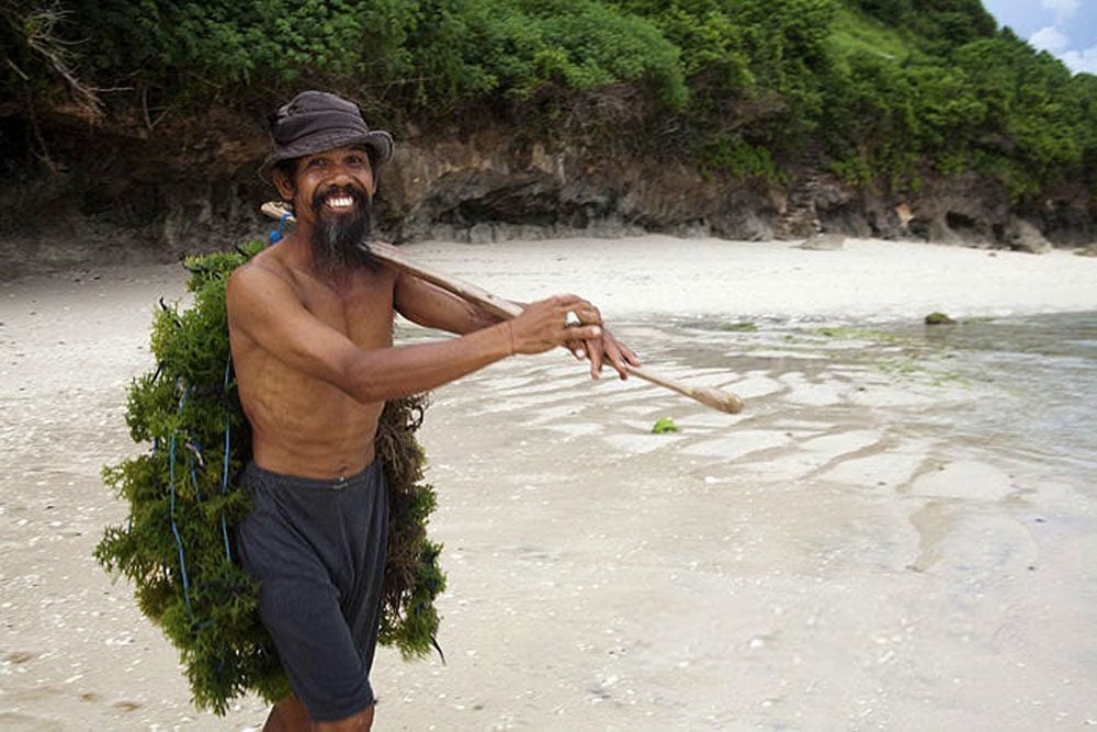 4-seaweed-via-pandawabeachkutuh