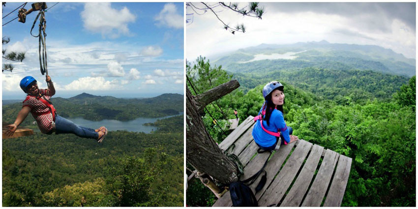 1-flyingfox-via-emelianalian,-amala.vika