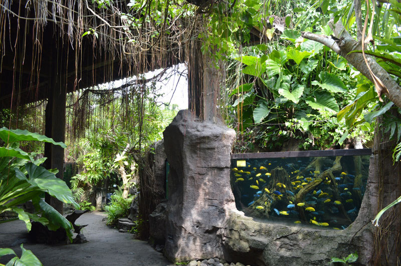 10. Unique outdoor setting