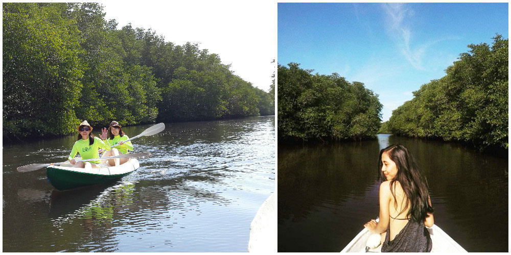 4a-mangrove1-via-Min,-triznataby