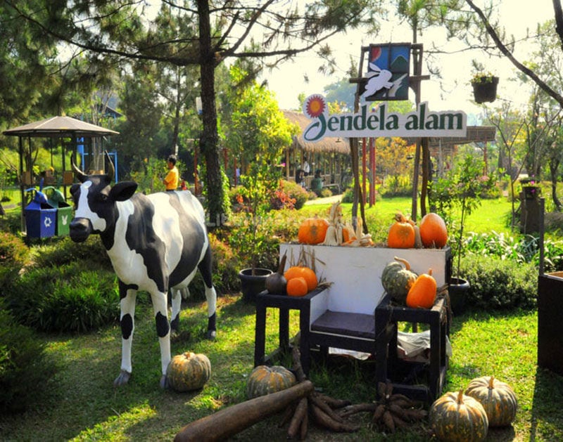 18-Entrance-liburananak
