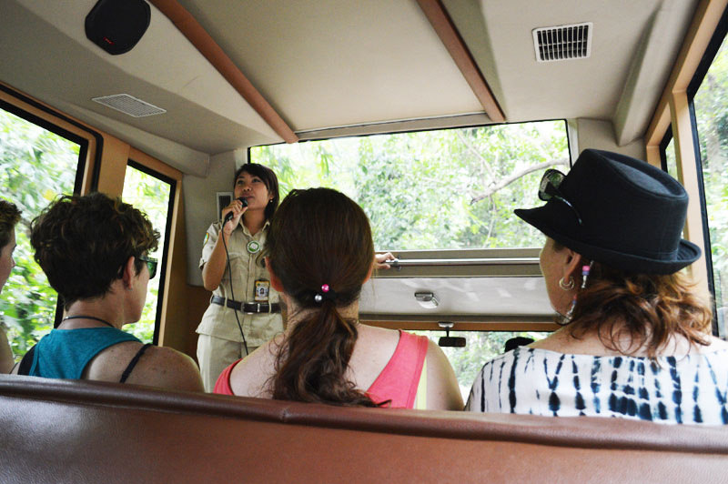 3. Day Safari with Guide