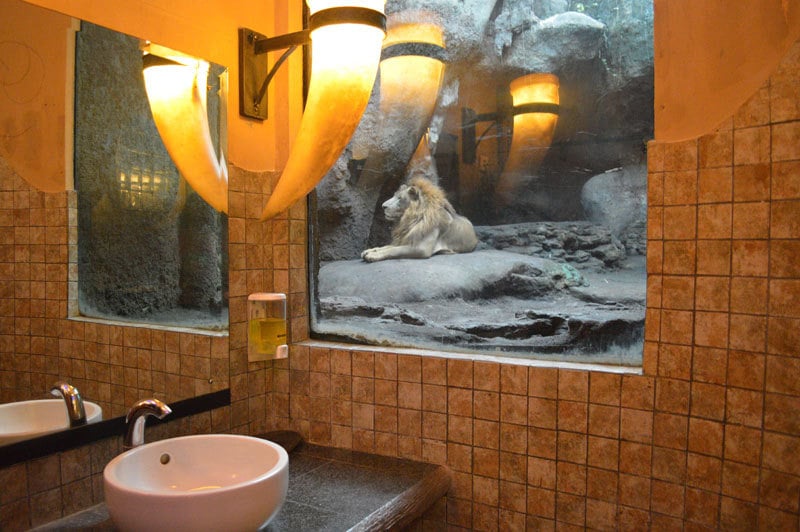 2. Lion in the Toilet