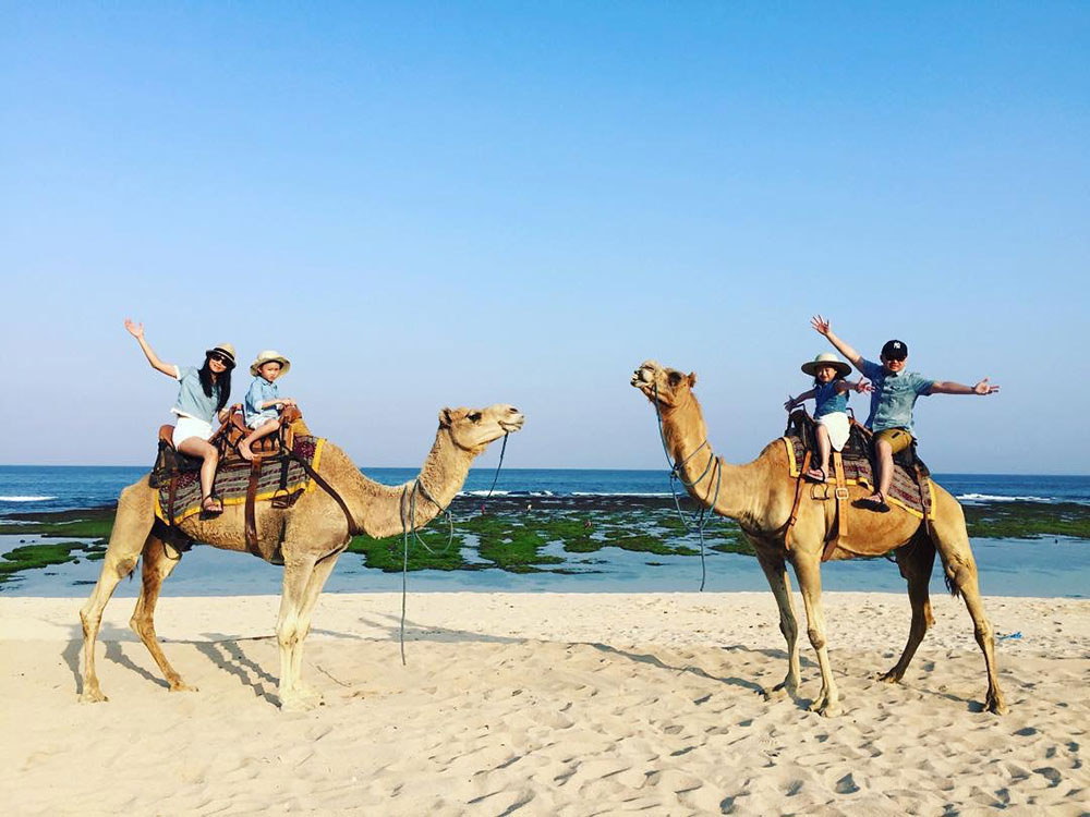 3-camel-via-dreythan