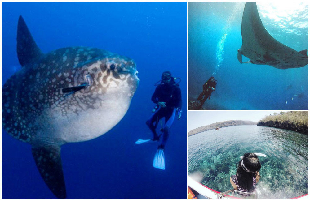 4c-diving-by-hypebali,-sellysylvia