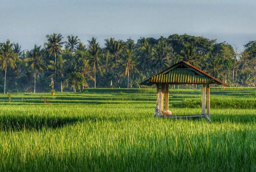 10-jiwa3-viaAirbnb