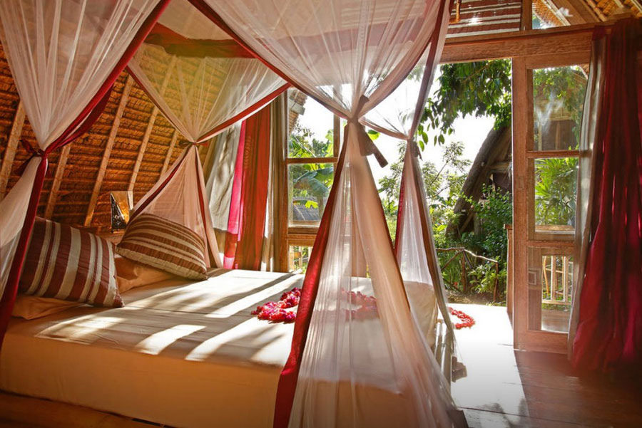 6-milo2-viaAirbnb