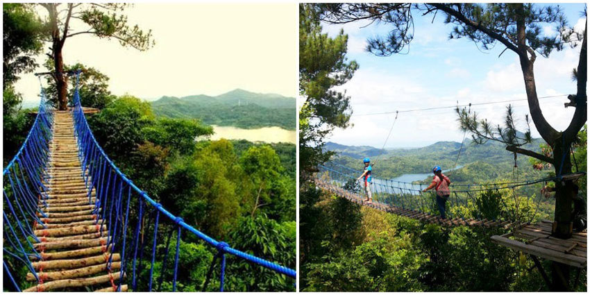 1-Kalibiru-Bridge-Nofendi-Syaifudin,-emelianalian
