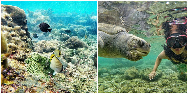 Nglambor Beach Snorkeling