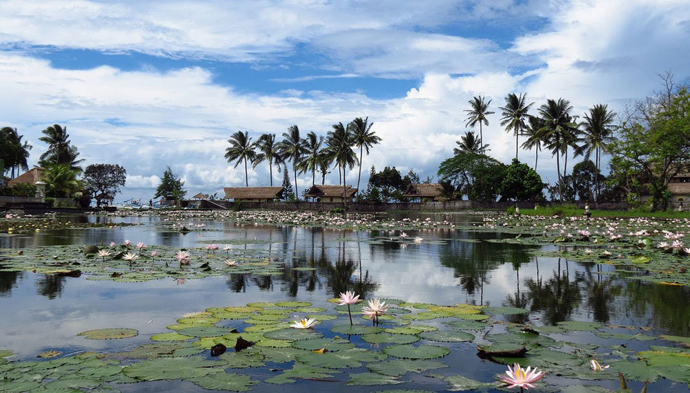 5---Panoramic-view-of-Lagoon---by-Daaynos
