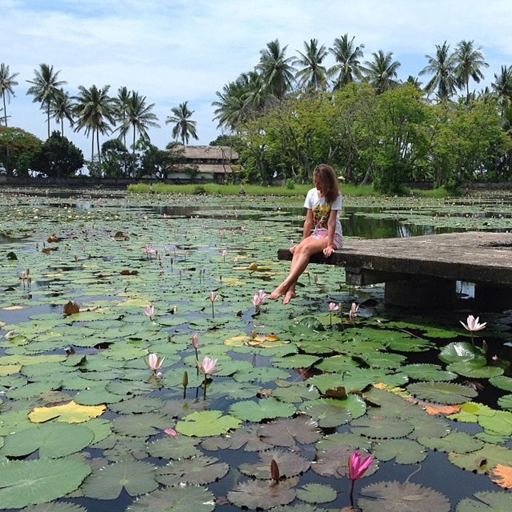 5---Lotus-Lagoon---by-Миклуха-Маклай