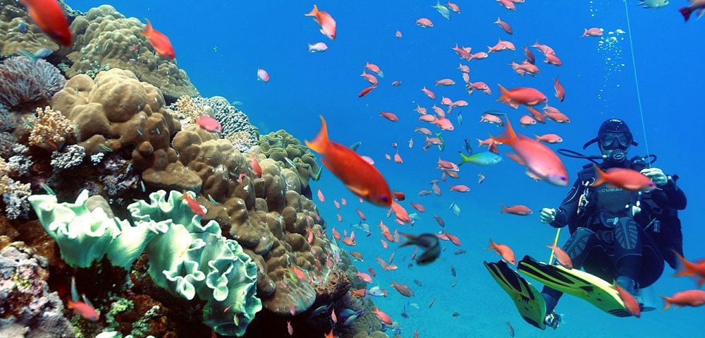 10-gili_tepekong-via-okdiversbali