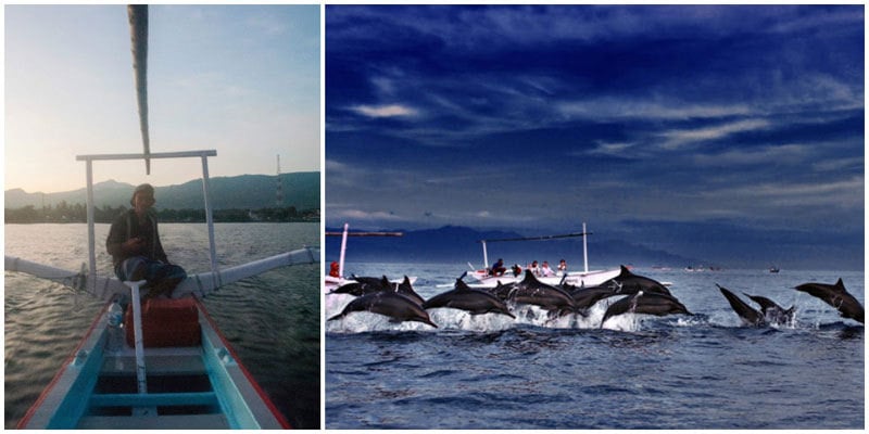 2biii-dolphin-watching-via-TripCanvas,-Angga-Photography