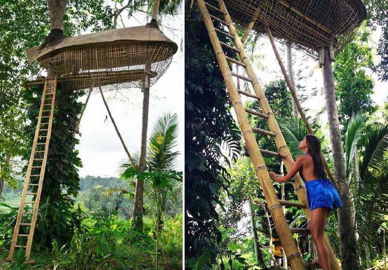 4-tree-house-via-sarahcatelli,-shecooksshegardens.com