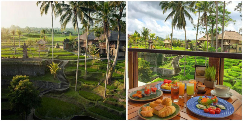 6-paddy-view-via-tiniihitakara