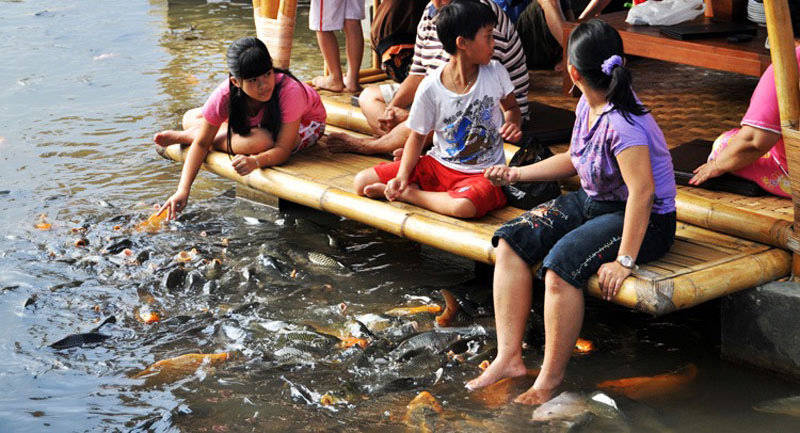 11-feeding-fish-by-8penjuruangin-5