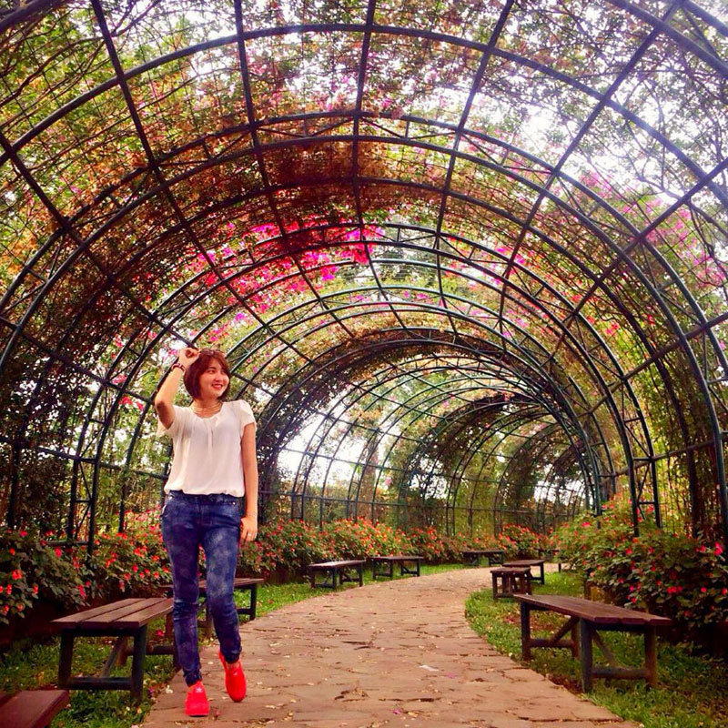 1-rose-garden-via-qyiqi