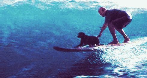 Enjoy-Ride-Giphy