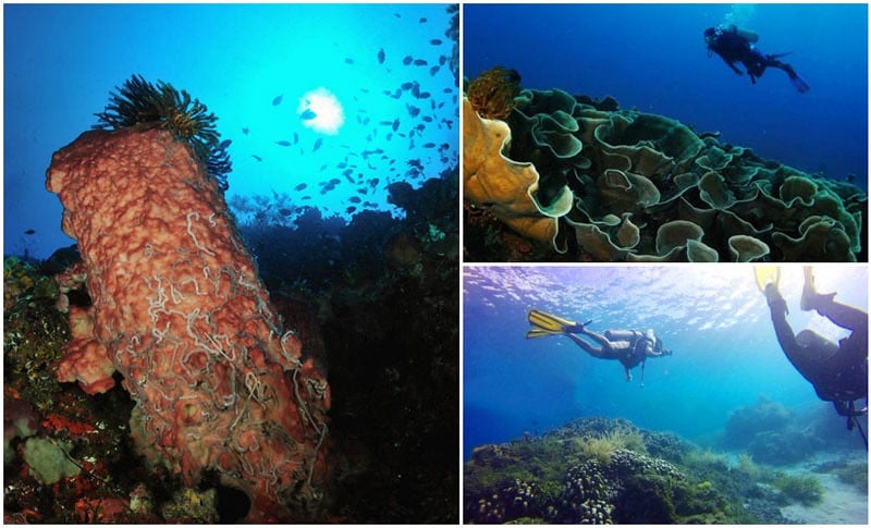 underwater-via-bentenan_cloth