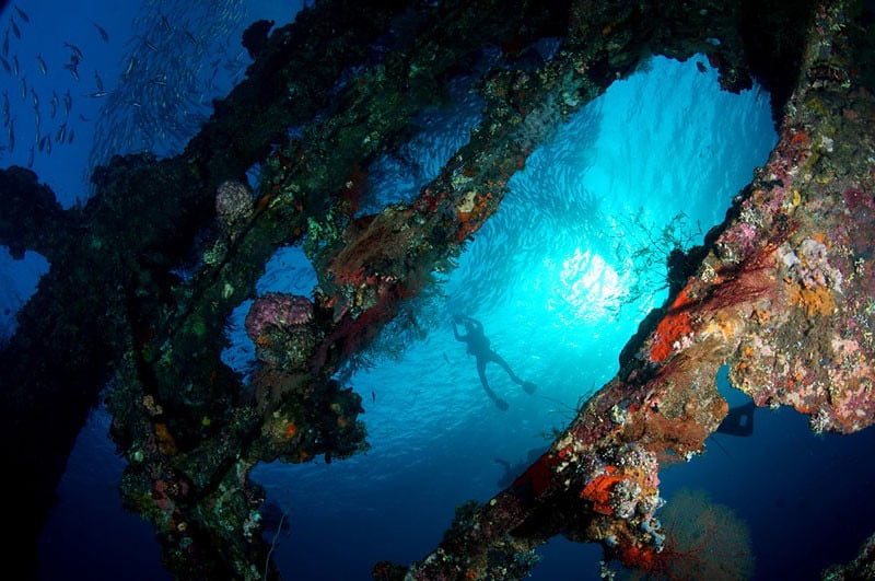 liberty-shipwreck-2011.underwaterfestival-by-matt-timbrell