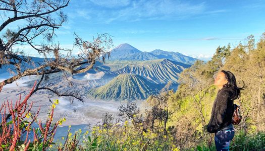 4D3N Scenic adventure itinerary from Surabaya to Mount Bromo: Things to do, where to stay and how to reach this active volcano!