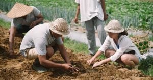 20 Fun one-day workshops in Bali: Balinese massage, woodcarving, silversmithing, cooking, traditional dance and more!