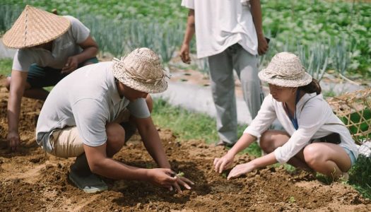 20 Fun one-day workshops in Bali: Balinese massage, woodcarving, silversmithing, cooking, traditional dance and more!