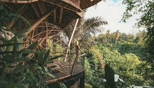There’s a magical bamboo treehouse in Bali where you can sleep in a magical forest!- Aura House Bali